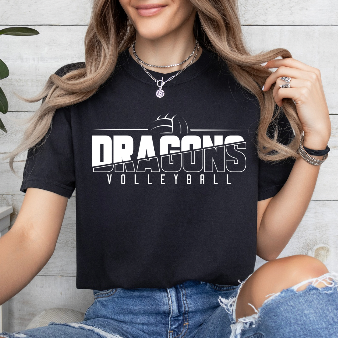 Dragon volleyball