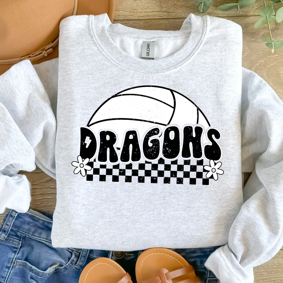 Dragon volleyball checker